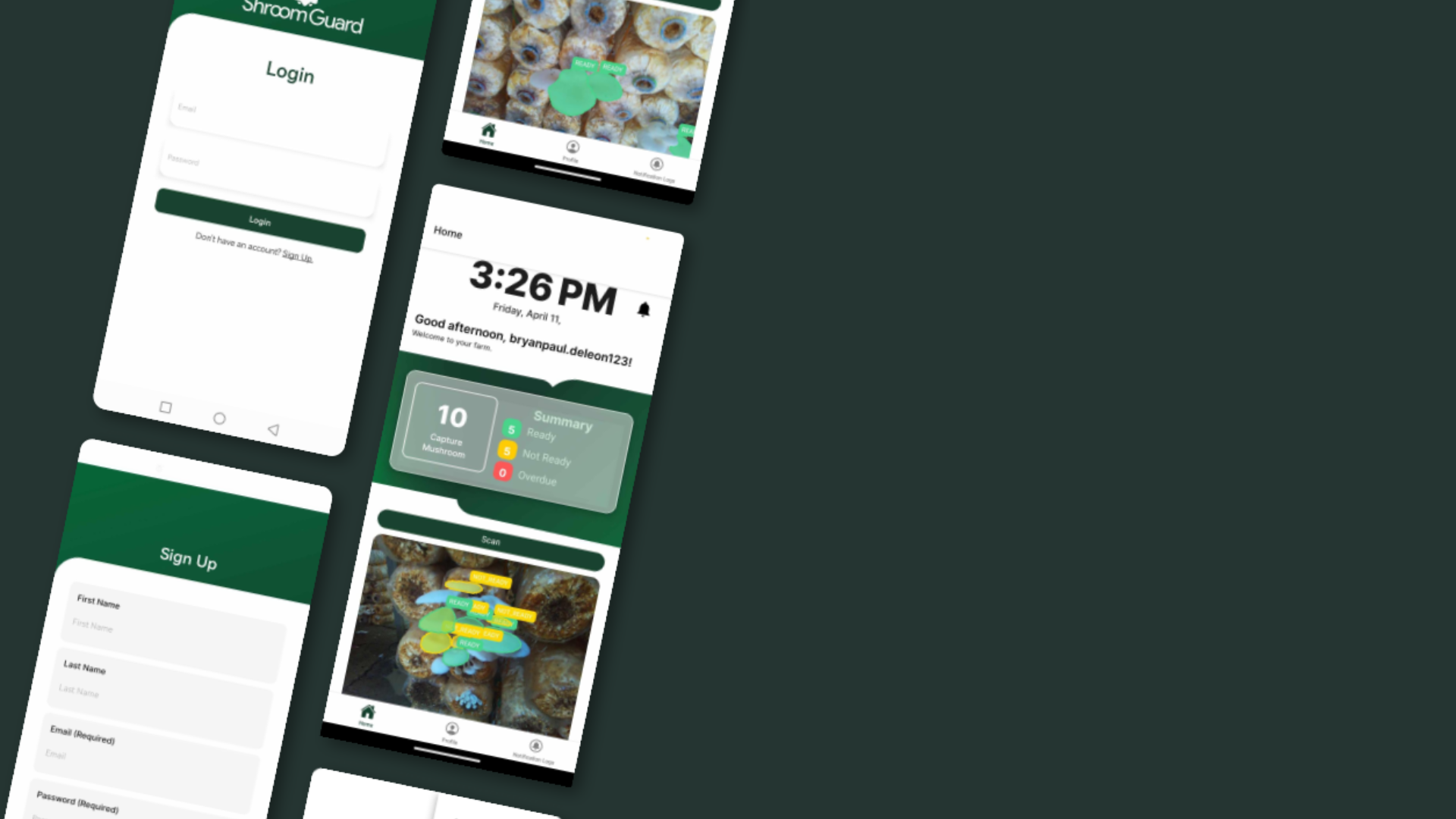 Due Diligence Platform